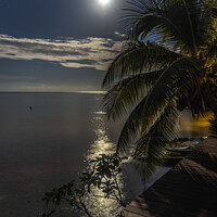 Buy canvas prints of Moon Stars Night Reflection Blue Water Moorea Tahiti by William Perry