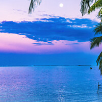 Buy canvas prints of Sunset Evening Moon Reflection Blue Water Moorea Tahiti by William Perry