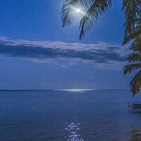 Buy canvas prints of Moon Night Reflection Blue Water Moorea Tahiti by William Perry