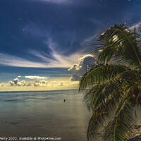 Buy canvas prints of Moonlight Stars Clouds Night  Coconut Palm Trees Water Moorea Ta by William Perry