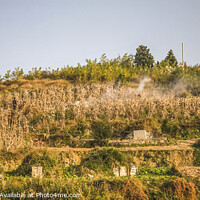 Buy canvas prints of Burning Fields with Graves Guizhou China by William Perry