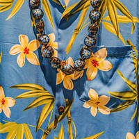 Buy canvas prints of Hawaiian Shirt Kukui Beads Necklace Waikiki Honolulu Hawaii by William Perry