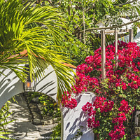 Buy canvas prints of Arch Red Bougainvillea Restaurant Miami Beach Florida by William Perry