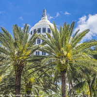Buy canvas prints of Palm Trees Art Deco Buildings Miami Beach Florida by William Perry