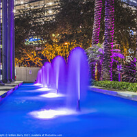 Buy canvas prints of Blue Fountain Night Purple Trees Downtown Miami Florida by William Perry