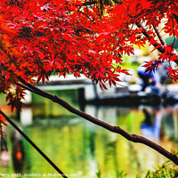 Buy canvas prints of Orange Red Maple Leaves Bridge West Lake Hangzhou Zhejiang China by William Perry