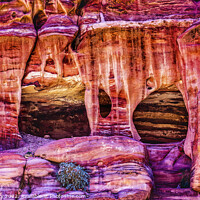 Buy canvas prints of Rose Red Rock Tombs Street of Facades Petra Jordan  by William Perry