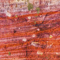 Buy canvas prints of Red White Green Rock Abstract Near Royal Tombs Petra Jordan by William Perry