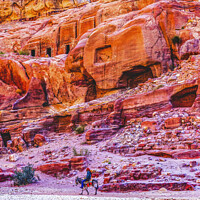 Buy canvas prints of Donkey Rose Red Rock Tombs Street of Facades Petra Jordan  by William Perry