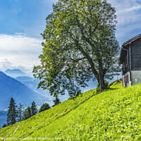 Buy canvas prints of House Alps Climbing Mount Pilatus Lucerne Switzerland by William Perry