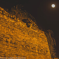 Buy canvas prints of Ancient City Wall Park Night Moon Beijing China by William Perry