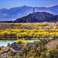 Buy canvas prints of Yu Feng Pagoda Lonevity Hill Lake Summer Palace Beijing China by William Perry