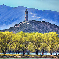 Buy canvas prints of Yu Feng Pagoda Summer Palace Willows Beijing China by William Perry