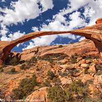 Buy canvas prints of Landscape Arch Devils Garden Arches National Park Moab Utah  by William Perry