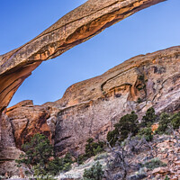 Buy canvas prints of Landscape Arch Evening Devils Garden Arches National Park Moab U by William Perry