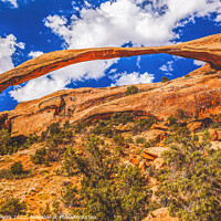 Buy canvas prints of Landscape Arch Devils Garden Arches National Park Moab Utah  by William Perry