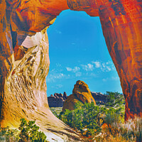 Buy canvas prints of Pine Tree Arch Devils Garden Arches National Park Moab Utah  by William Perry