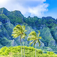 Buy canvas prints of Palm Trees Green Mountain Kualoa Regional Park Oahu Hawaii by William Perry