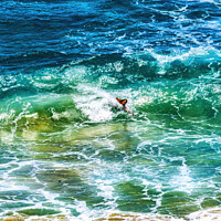 Buy canvas prints of Colorful Body Surfer Waves Makapuu Beach Honolulu Oahu Hawaii by William Perry