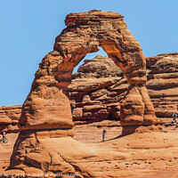 Buy canvas prints of Delicate Arch Bicycle Rock Canyon Arches National Park Moab Utah by William Perry