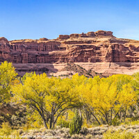 Buy canvas prints of Autumn Yellow Leaves Rock Canyon Arches National Park Moab Utah  by William Perry
