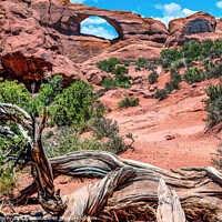 Buy canvas prints of Red Brown Skyline Arch Rock Canyon Arches National Park Moab Uta by William Perry