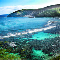 Buy canvas prints of Swimmers Hanamu Bay Oahu Hawaii by William Perry