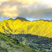 Buy canvas prints of Colorful Manoa Valley Tantalus Lookout Honolulu Hawaii by William Perry