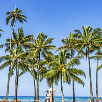 Buy canvas prints of Colorful Lifeguard Station Palm Trees Waikiki Beach Honolulu Haw by William Perry
