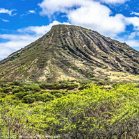 Buy canvas prints of Colorful Koko Crater Honolulu Oahu Hawaii by William Perry