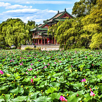 Buy canvas prints of Red Pavilion Pink Lotus Garden Summer Palace Beijing China by William Perry