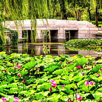 Buy canvas prints of Lotus Garden Bridge Summer Palace Beijing, China by William Perry