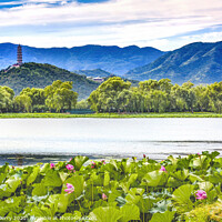 Buy canvas prints of Yue Feng Pagoda Lotus Garden Summer Palace Beijing China by William Perry