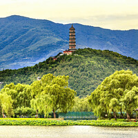 Buy canvas prints of Yue Feng Pagoda Lake Willow Trees Summer Palace Beijing China by William Perry