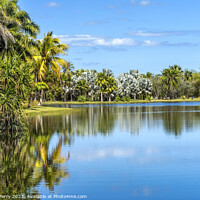 Buy canvas prints of Palm Trees Reflection Fairchild Garden Coral Gables Florida by William Perry