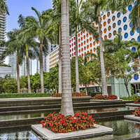 Buy canvas prints of Palm Trees Water Garden Downtown Buildings Miami Florida by William Perry
