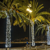 Buy canvas prints of Christmas Decorations Palm Trees Nice France by William Perry