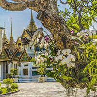 Buy canvas prints of Orchids Stupas Pagodas Grand Palace Bangkok Thailand by William Perry