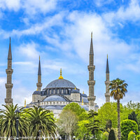 Buy canvas prints of Blue Mosque Dome Minarets Trees Istanbul Turkey by William Perry
