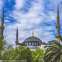 Buy canvas prints of Blue Mosque Dome Minarets Trees Istanbul Turkey by William Perry