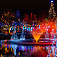 Buy canvas prints of Christmas Lights Van Dusen Garden Vancouver British Columbia by William Perry