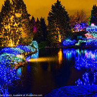 Buy canvas prints of Christmas Lights Van Dusen Garden Vancouver British Columbia by William Perry