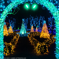 Buy canvas prints of Blue Green Arch Christmas Lights Van Dusen Garden Vancouver Brit by William Perry