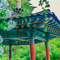 Buy canvas prints of Korean Pagoda Apple Blossoms Van Dusen Garden Vancouver Canada by William Perry