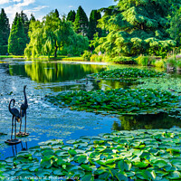 Buy canvas prints of Bird Statues Lily Pads Van Dusen Garden Vancouver British Columb by William Perry