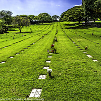 Buy canvas prints of Graves Punchbowl National Cemetery Pacific Honolulu Oahu Hawaii by William Perry