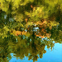 Buy canvas prints of Green Yellow Blue Water Reflection Abstract Habikino Osaka Japan by William Perry