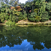 Buy canvas prints of Fall Leaves Reflection Autumn Habikino Osaka Japan by William Perry