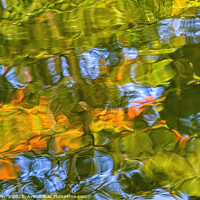 Buy canvas prints of Tree Orange Green Blue Water Reflection Abstract Habikino Japan by William Perry