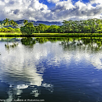 Buy canvas prints of Colorful Green Trees Clouds Ala Wai Canal Reflection Honolulu Ha by William Perry